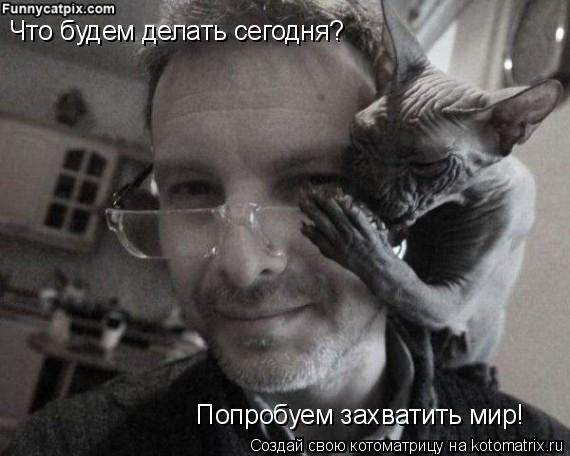 Котоматрица: Что будем делать сегодня?  Попробуем захватить мир!