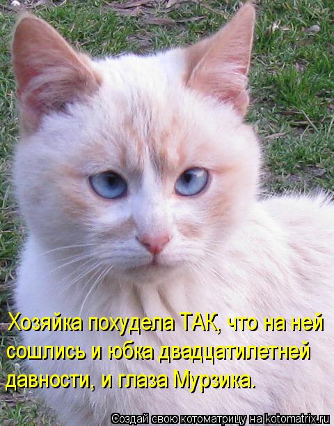 Хозяйка похудела ТАК, что на ней сошлись и юбка двадцатилетней давности, и глаза Мурзика.... Котоматрица: Хозяйка похудела ТАК, что на ней сошлись и юбка двадцатилетней давности, и глаза Мурзика.