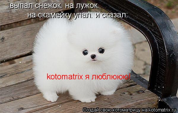 Котоматрица: выпал снежок. на лужок. на скамейку упал. и сказал: kotomatrix я люблююю!