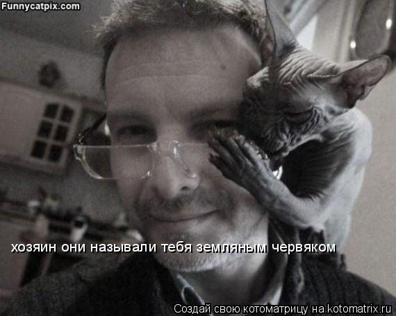 Котоматрица: хозяин они называли тебя земляным червяком