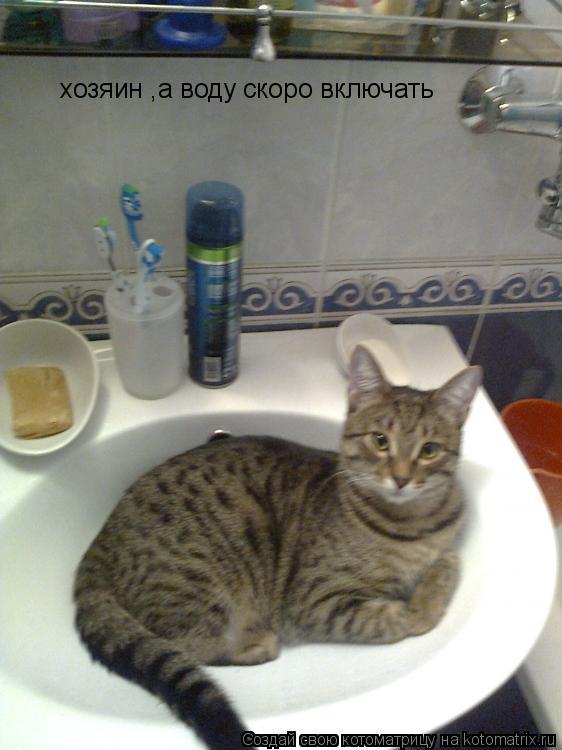 Котоматрица: хозяин ,а воду скоро включать