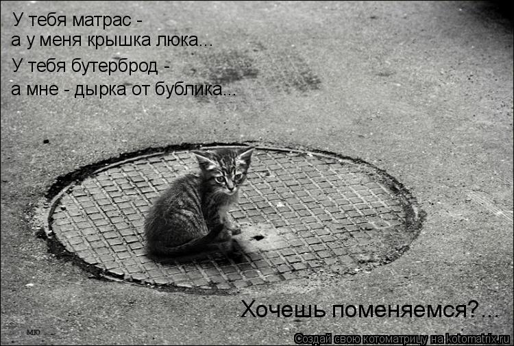 Котоматрица: У тебя матрас -  а у меня крышка люка... У тебя бутерброд -  а мне - дырка от бублика... Хочешь поменяемся?...