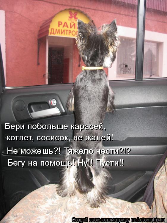 Котоматрица: Бери побольше карасей, котлет, сосисок, не жалей! Не можешь?! Тяжело нести?!? Бегу на помощь! Ну!! Пусти!!