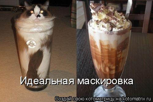 Котоматрица: Идеальная маскировка