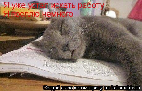Котоматрица: Я уже устал искать работу Я посплю немного