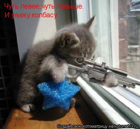 Котоматрица: Чуть левее,чуть повыше. И увижу колбасу.