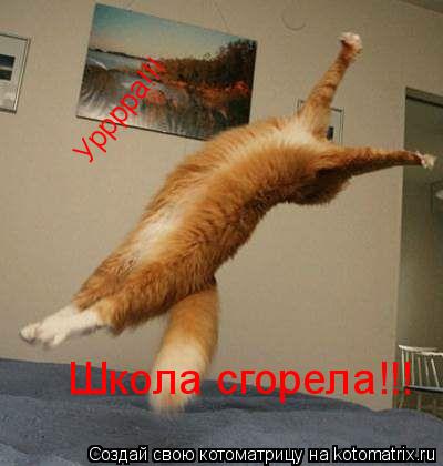 Котоматрица: Урррра!!! Школа сгорела!!!