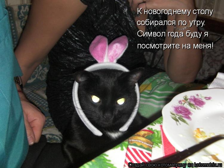 Котоматрица: К новогоднему столу К новогоднему столу собирался по утру. Символ года буду я посмотрите на меня!