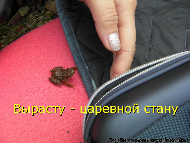 Котоматрица: Вырасту - царевной стану