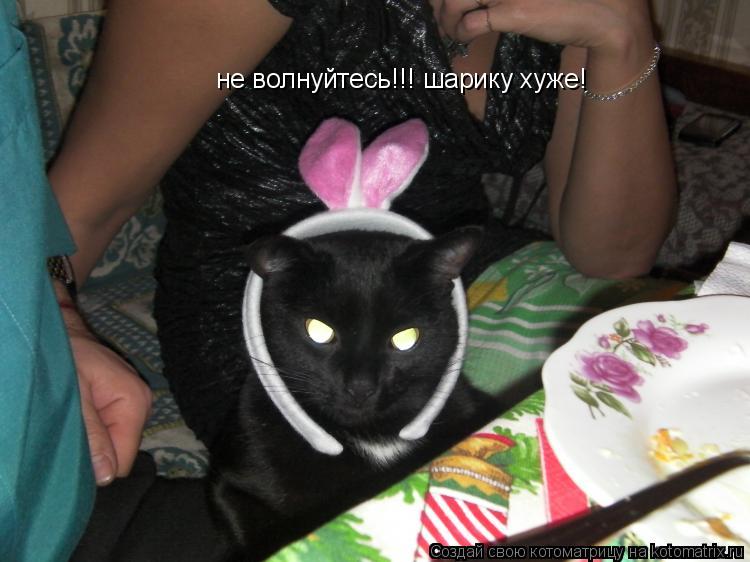Котоматрица: не волнуйтесь!!! шарику хуже!