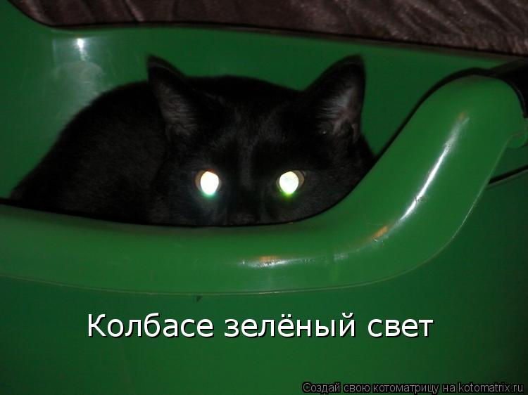 Котоматрица: Колбасе зелёный свет