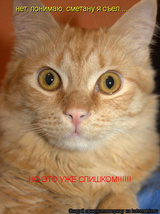 Котоматрица: нет, понимаю, сметану я съел..... НО ЭТО УЖЕ СЛИШКОМ!!!!!!