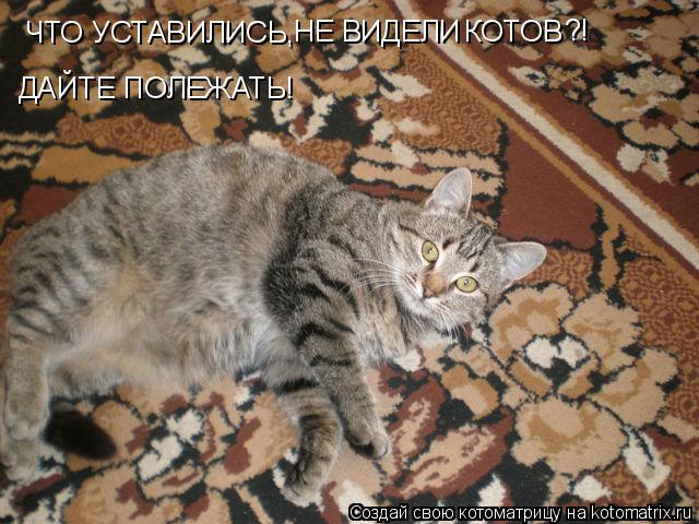 Котоматрица: ЧТО УСТАВИЛИСЬ,  НЕ ВИДЕЛИ  КОТОВ ДАЙТЕ ПОЛЕЖАТЬ! ?!