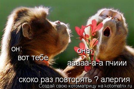Котоматрица: вот тебе он: она: ааааа-а-а пчиии скоко раз повторять ? алергия