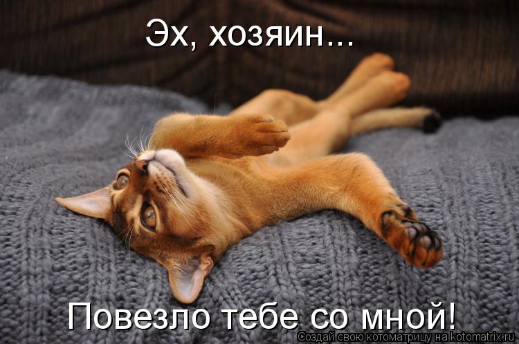 Котоматрица: Эх, хозяин... Повезло тебе со мной!