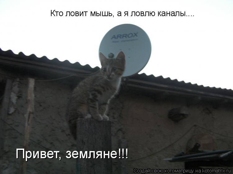Котоматрица: Кто ловит мышь, а я ловлю каналы.... Привет, земляне!!!