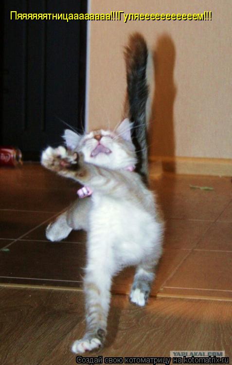 Котоматрица: Пяяяяяятницаааааааа!!!Гуляееееееееееем!!! Пяяяяяятницаааааааа!!!Гуляееееееееееем!!! Пяяяяяятницаааааааа!!!Гуляееееееееееем!!!