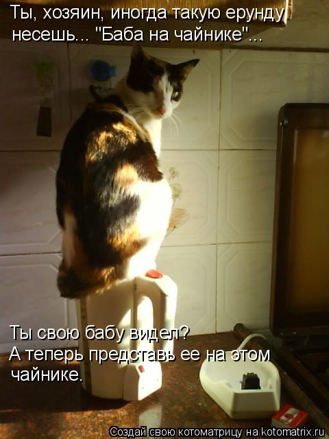 Котоматрица: Ты, хозяин, иногда такую ерунду несешь... "Баба на чайнике"... Ты свою бабу видел? А теперь представь ее на этом чайнике.