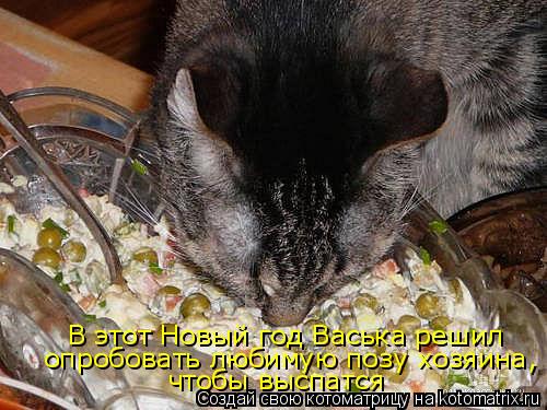 Котоматрица: В этот Новый год Васька решил опробовать любимую позу хозяина, чтобы выспатся