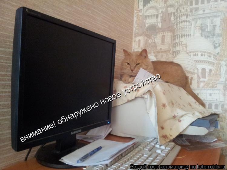 Котоматрица: внимание! обнаружено новое устройство