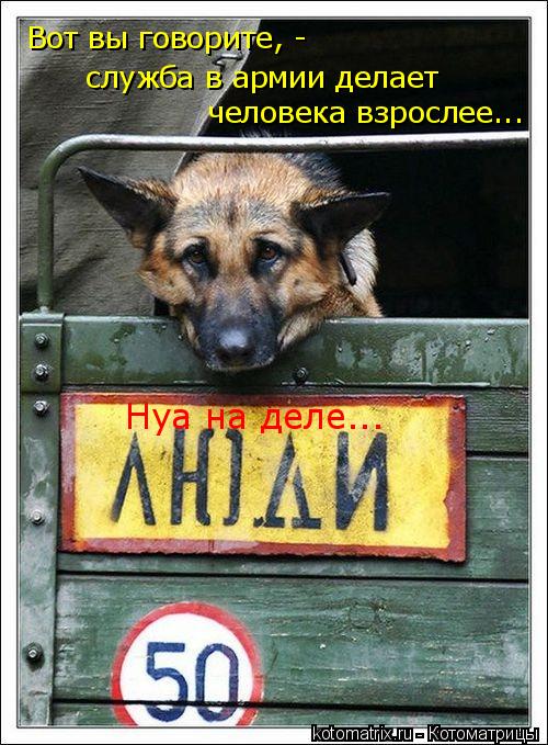 Котоматрица: Вот вы говорите, -  служба в армии делает  человека взрослее... Нуа на деле...