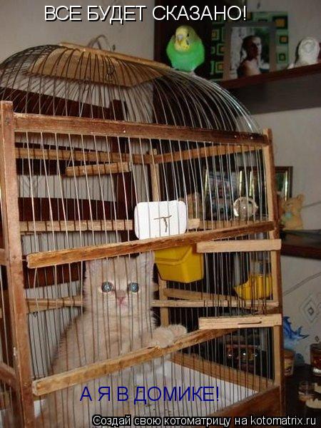 Котоматрица: ВСЕ БУДЕТ СКАЗАНО! А Я В ДОМИКЕ!