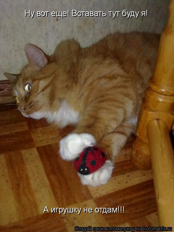 Котоматрица: Ну вот еще! Вставать тут буду я! А игрушку не отдам!!!