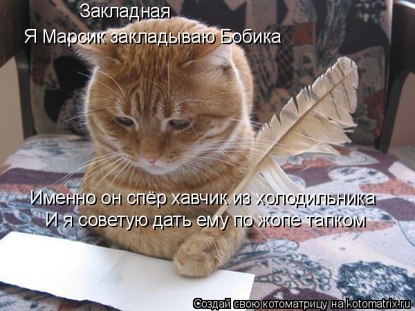 Котоматрица: Закладная Я Марсик закладываю Бобика Именно он спёр хавчик из холодильника И я советую дать ему по жопе тапком