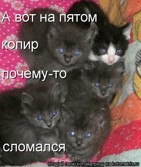 Котоматрица: А вот на пятом  копир почему-то сломался