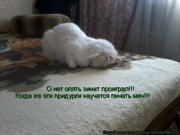 Котоматрица: Когда же эти придурки научатся пинать мяч!!! О нет опять зинит проиграл!!!
