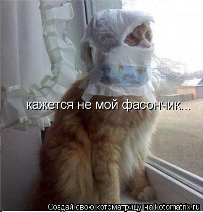 Котоматрица: кажется не мой фасончик...