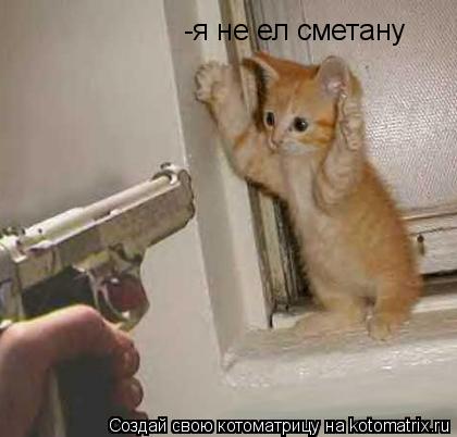 Котоматрица: -я не ел сметану