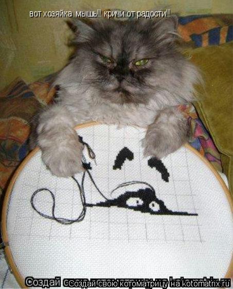 Котоматрица: вот хозяйка  мышь!! кричи от радости!!