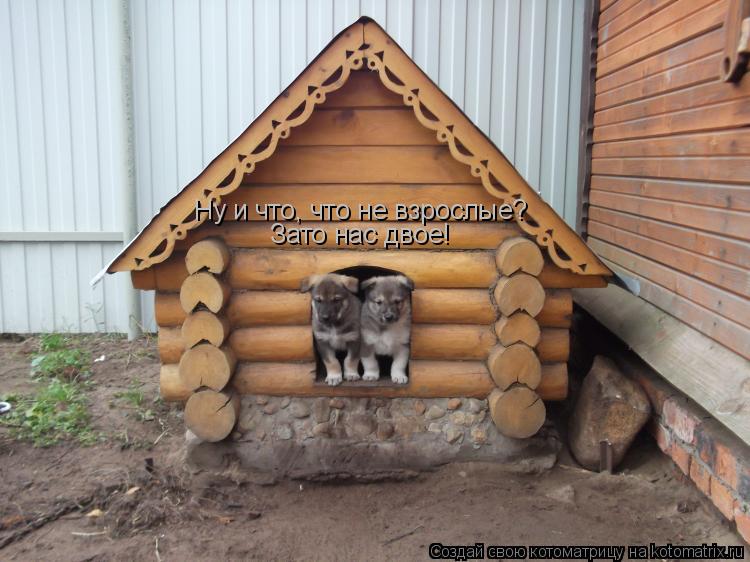 Котоматрица: Ну и что, что не взрослые? Зато нас двое!
