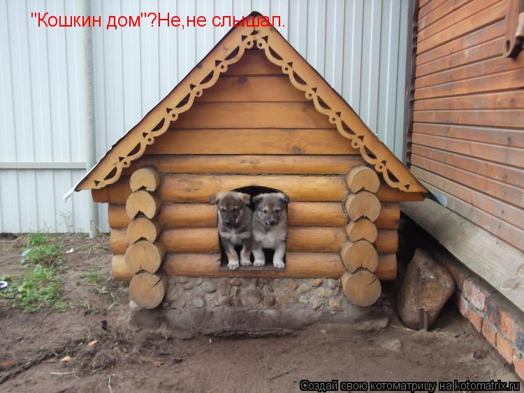 Котоматрица: "Кошкин дом"?Не,не слышал.