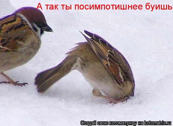 Котоматрица: А так ты посимпотишнее буишь