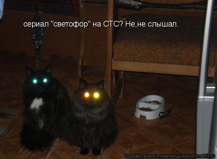 Котоматрица: сериал "светофор" на СТС? Не,не слышал.