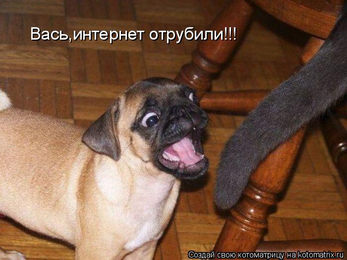 Котоматрица: Вась,интернет отрубили!!!