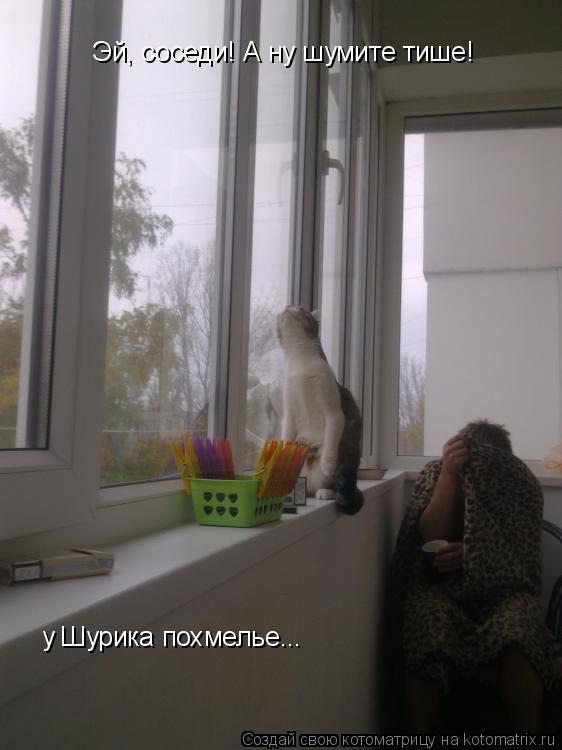Котоматрица: Эй, соседи! А ну шумите тише!    у Шурика похмелье...