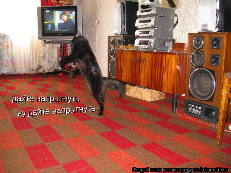 Котоматрица: дайте напрыгнуть ну дайте напрыгнуть