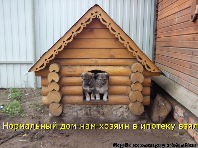 Котоматрица: Нормальный дом нам хозяин в ипотеку взял.