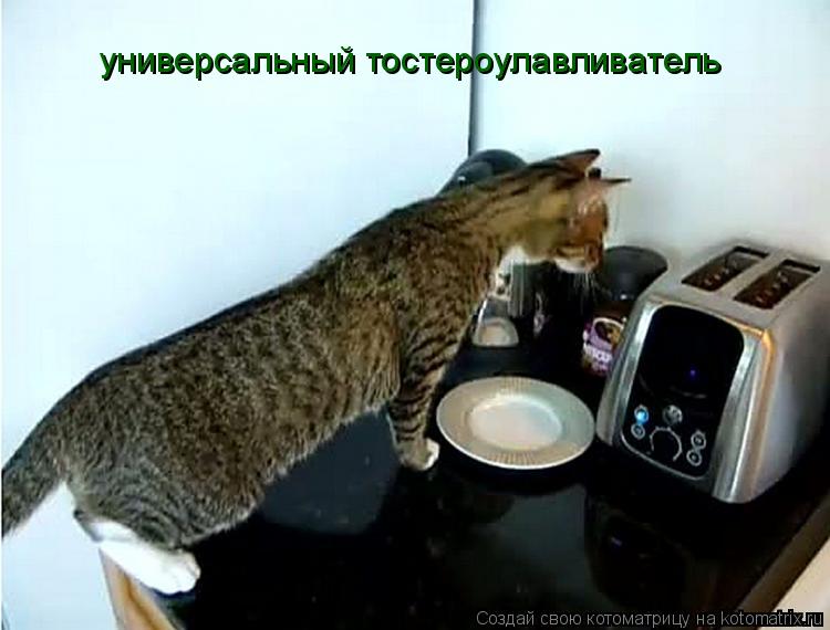 Котоматрица: универсальный тостероулавливатель