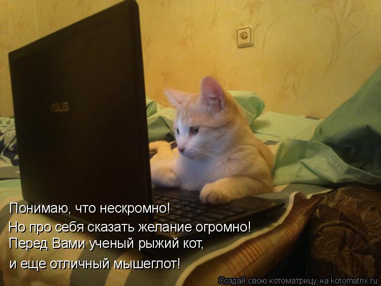 Котоматрица: Понимаю, что нескромно! Но про себя сказать желание огромно! Перед Вами ученый рыжий кот, и еще отличный мышеглот!