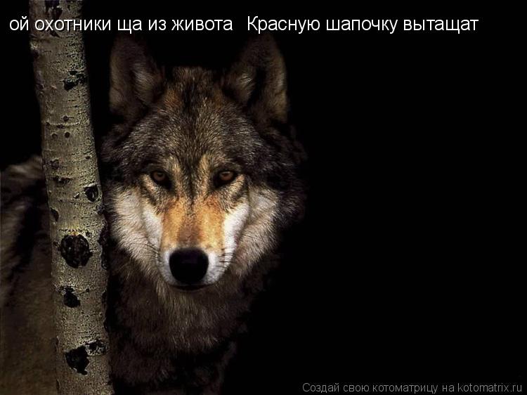 Котоматрица: ой охотники ща из живота Красную шапочку вытащат