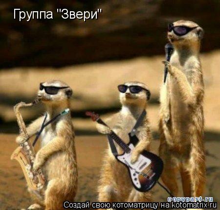 Группа "Звери"... Котоматрица: Группа "Звери"