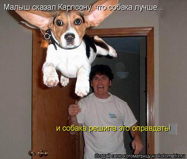 Малыш сказал Карлсону, что собака лучше... и собака решила это оправдать!... Котоматрица: Малыш сказал Карлсону, что собака лучше... и собака решила это оправдать!