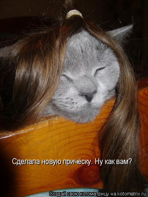 Сделала новую причёску. Ну как вам?... Котоматрица: Сделала новую причёску. Ну как вам?