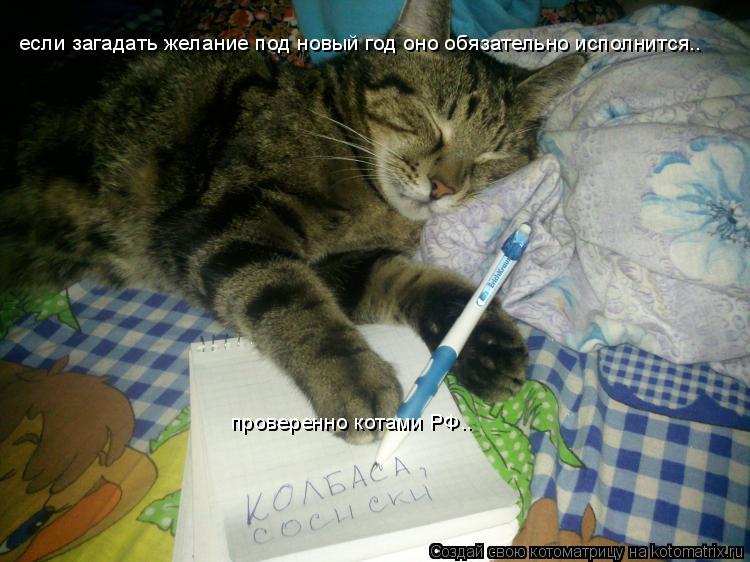 если загадать желание под новый год оно обязательно исполнится.. проверенно котами РФ..... Котоматрица: если загадать желание под новый год оно обязательно исполнится.. проверенно котами РФ..