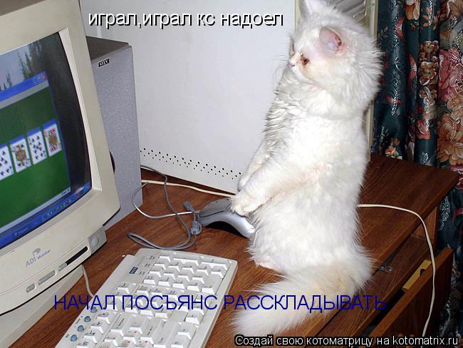 играл,играл кс надоел НАЧАЛ ПОСЪЯНС РАССКЛАДЫВАТЬ... Котоматрица: играл,играл кс надоел НАЧАЛ ПОСЪЯНС РАССКЛАДЫВАТЬ