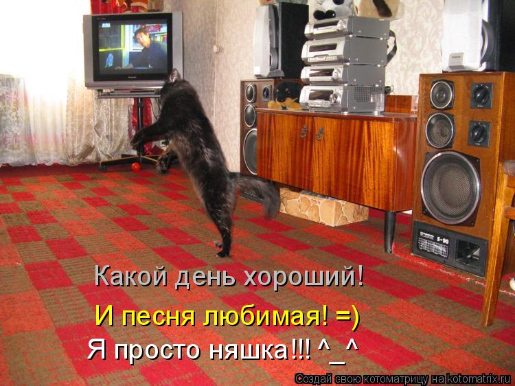 Какой день хороший! И песня любимая! =) Я просто няшка!!! ^_^... Котоматрица: Какой день хороший! И песня любимая! =) Я просто няшка!!! ^_^